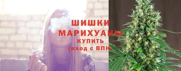 СК Сафоново