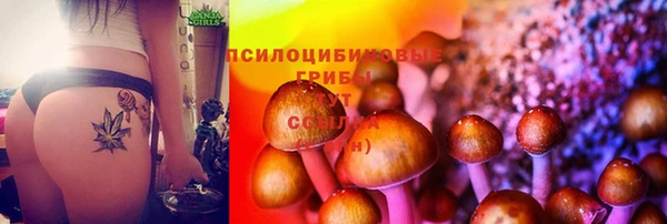 спиды Сатка