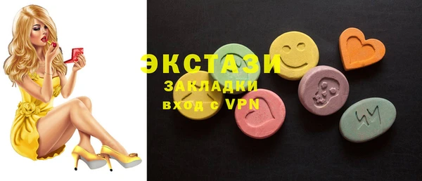 индика Саяногорск