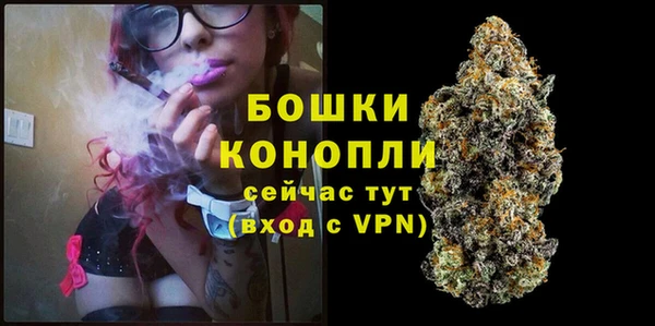 индика Саяногорск
