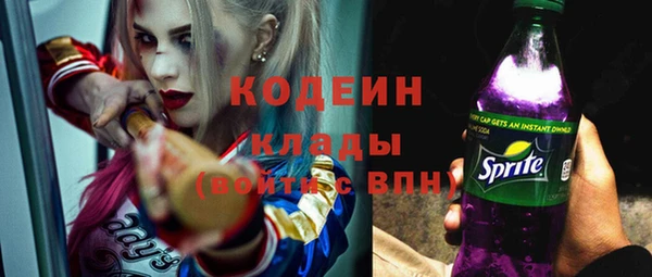СК Сафоново