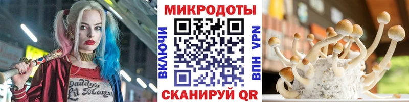 Псилоцибиновые грибы Cubensis  Нефтегорск 